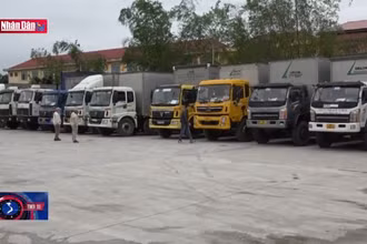 Doanh nghiệp vận tải hàng hóa tổn thất lớn vì ách tắc đăng kiểm