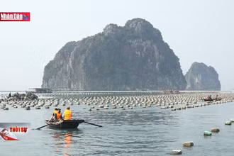 Xây dựng tinh thần dám đương đầu với thử thách