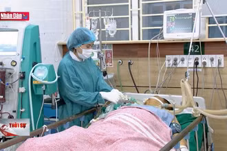 Nguy cơ ngộ độc rượu tăng cao dịp sát Tết