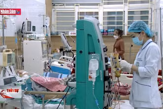 570 ca khám, cấp cứu do ngộ độc thức ăn