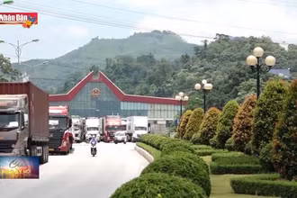 Sẵn sàng tâm thế mới cho kịch bản tăng trưởng năm 2023