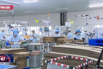 Khai thác tối đa tiềm năng hợp tác song phương Việt Nam - Hàn Quốc