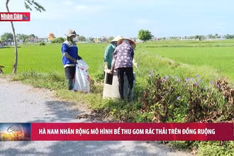 Hà Nam nhân rộng mô hình bể thu gom rác thải trên đồng ruộng