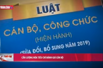 Cần lượng hóa tiêu chí đánh giá cán bộ