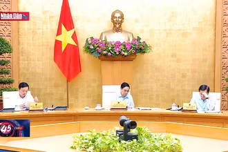 Thủ tướng chủ trì phiên họp Chính phủ thường kỳ tháng 7-2023