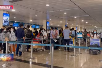 Khuyến cáo du khách không giữ đồ giúp người lạ ở sân bay