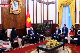 Chủ tịch nước tiếp Đại sứ Romania