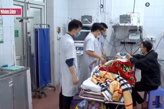 Cảnh báo nguy cơ gia tăng tai nạn giao thông do rượu bia Tết