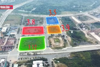 Sàn giao dịch quyền sử dụng đất