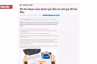 ''Ma trận'' lừa đảo qua mạng internet