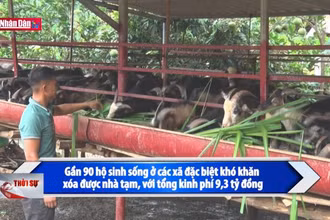 Đổi thay nhờ những chủ trương được “đánh số, gọi tên”