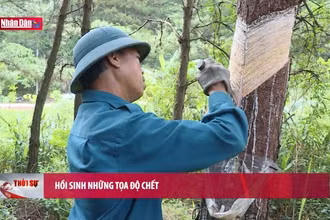 Hồi sinh những tọa độ chết