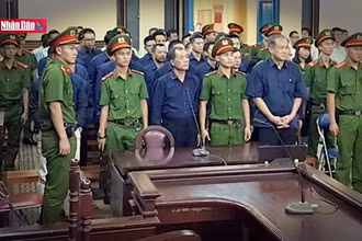 Lách luật đưa vốn ngân hàng vào công ty sân sau