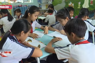 Khẩn trương sủa đổi, bổ sung Nghị định về thu, quản lý học phí