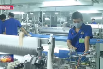 Đẩy nhanh việc giảm lãi suất, giãn hoãn nợ hỗ trợ doanh nghiệp