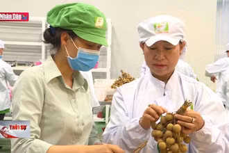 Kiểm soát chất lượng, nâng cao giá trị xuất khẩu nông sản Việt