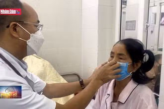 Cảnh báo ngộ độc thực phẩm có chứa độc tố tự nhiên