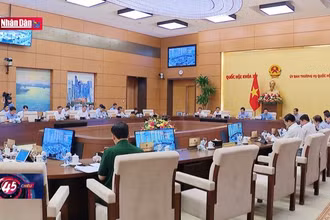 Rà soát để luật không chồng chéo