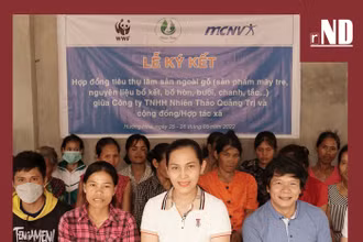 Tiêu điểm:	Dễ tổn thương nhưng đi đầu trong thích ứng