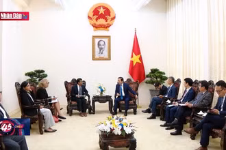 Thúc đẩy hình thành hệ sinh thái hàng tiêu dùng xuất khẩu bền vững