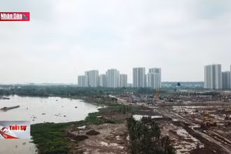 Hoàn thiện Hồ sơ dự án Luật Đất đai (sửa đổi) trước ngày 8-4