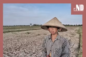 Tiêu điểm: Châu thổ Cửu Long ứng phó hạn - mặn