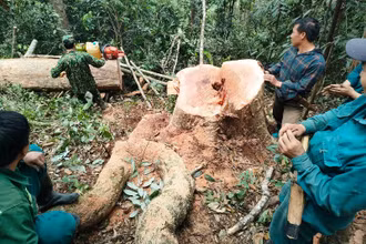 Bộ đội Biên phòng bắt quả tang các đối tượng có hành vi xâm hại tài nguyên rừng.