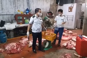 [Video] Chuyển cơ quan điều tra vụ gần 1 tấn thịt lợn nghi nhiễm dịch tả lợn Châu Phi tại Hưng Yên