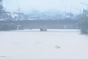 [Video] Báo động lũ trên hạ lưu sông Thương, sông Lục Nam