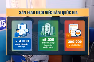 [Video] Hơn 14.000 người đăng ký tìm việc trên Sàn giao dịch việc làm quốc gia 