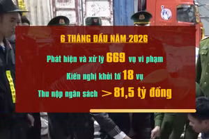 [Video] Hải quan Hà Nội kiến nghị khởi tố 18 vụ việc vi phạm