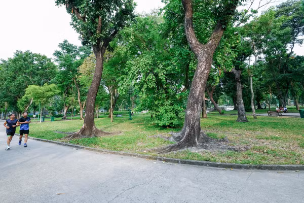 Công viên Lê Văn Tám, không gian có thể đầu tư phát triển bãi đậu xe ngầm nhằm bổ sung không gian phát triển, tăng năng lực hạ tầng cho thành phố (Ảnh: THẾ ANH)