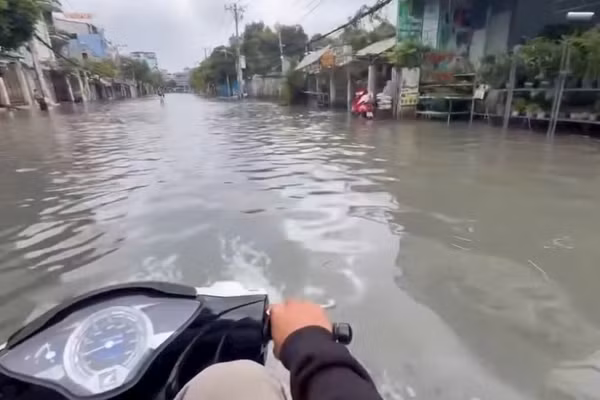 Khu vực làng hoa Gò Vấp ngập như sông sau cơn mưa chiều 7/10. (Ảnh: TẤT ĐẠT)