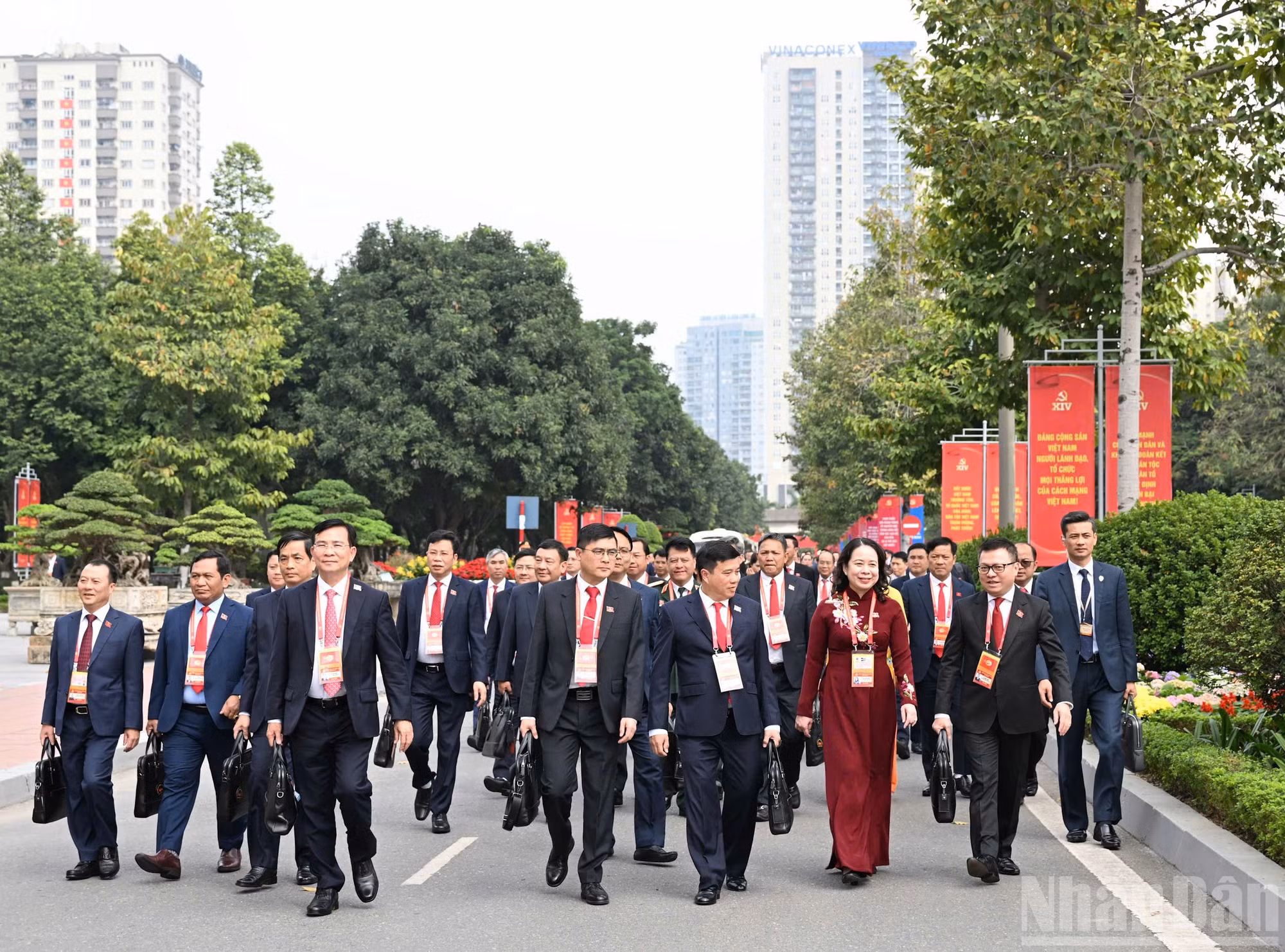 ndo_br_anh-8-d36.jpg