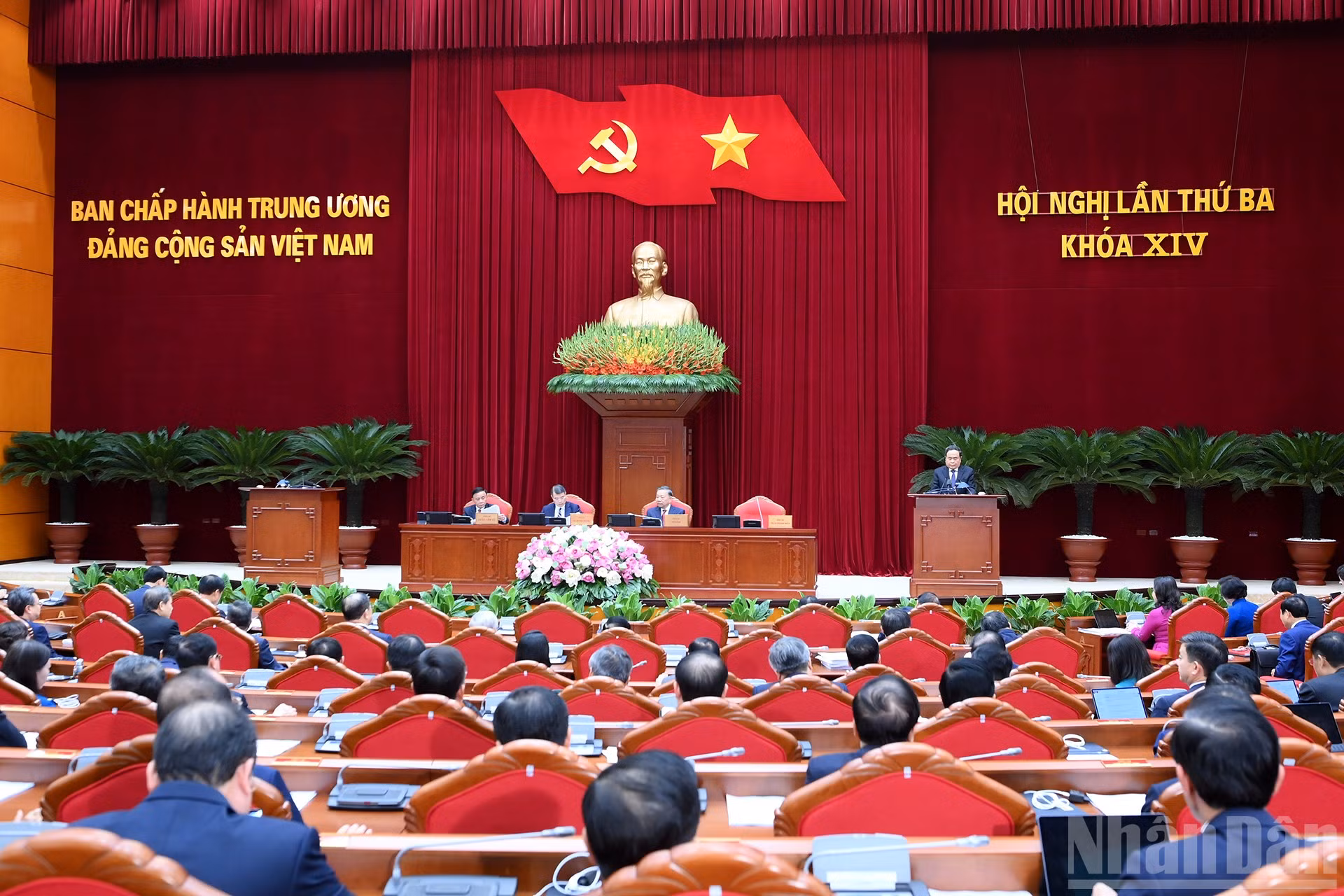 ndo_br_a3-bnd-3705.jpg