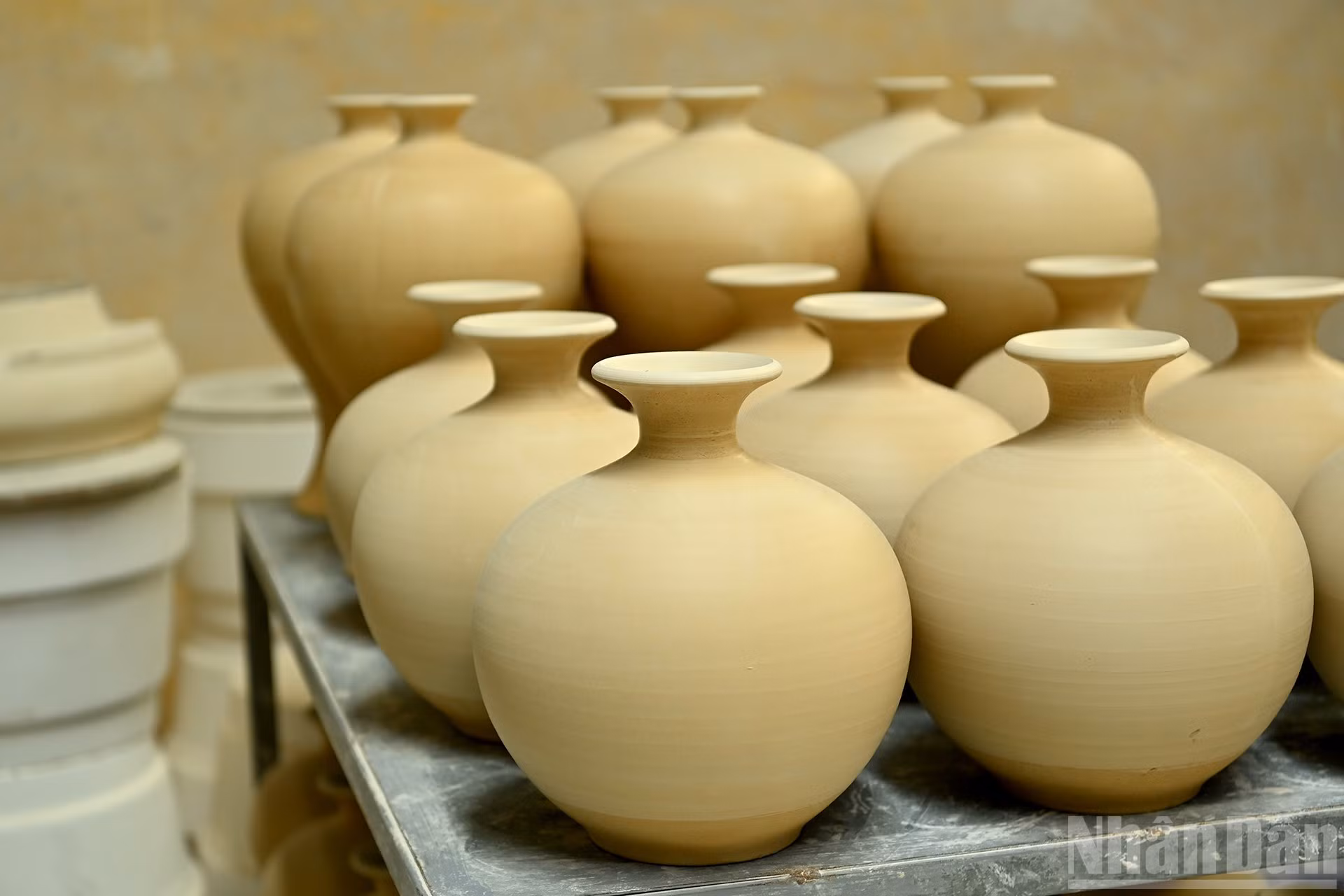 ndo_br_a5-bnd-0542.jpg