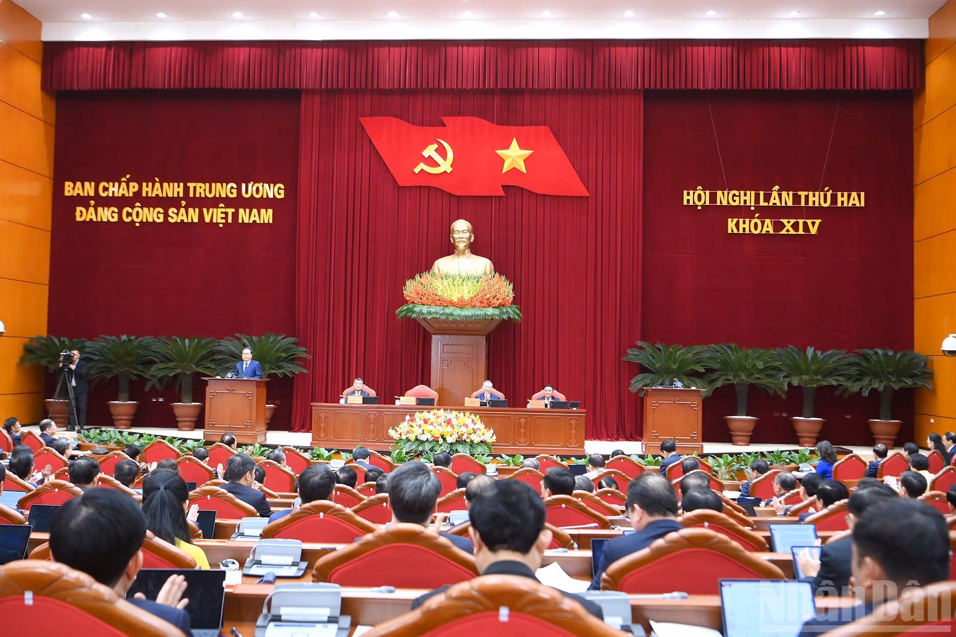 ndo_br_a2-bnd-4272.jpg