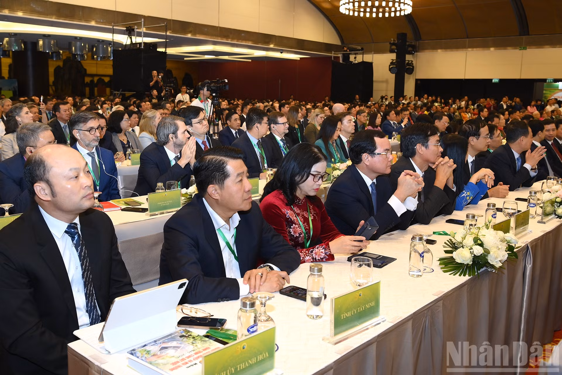 ndo_br_a9-bnd-6786.jpg