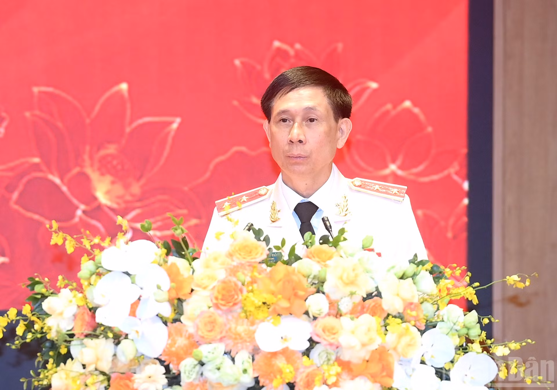 ndo_br_a7-bnd-1225.jpg