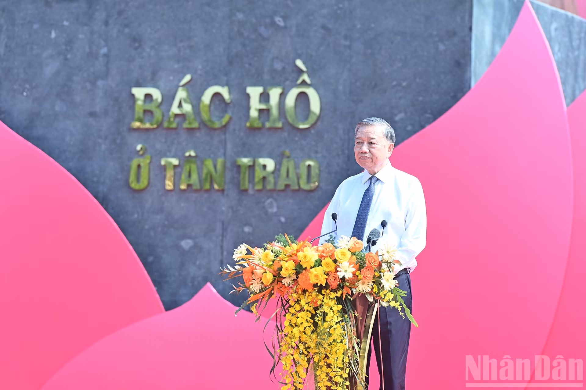 ndo_br_a13-bnd-1736.jpg