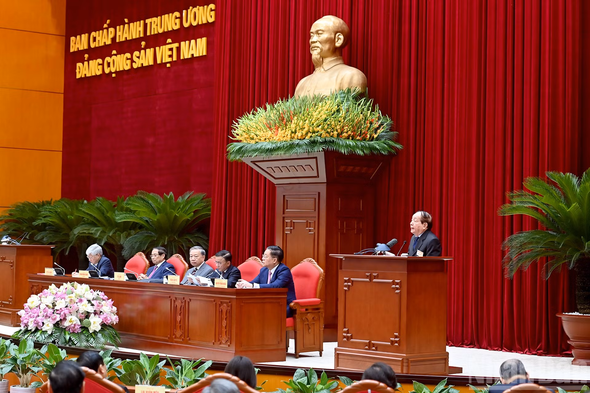 ndo_br_a8-bnd-8497.jpg