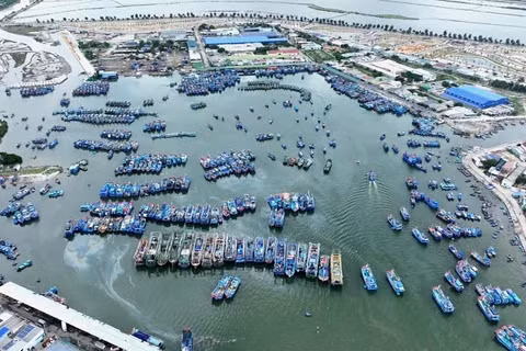 Một góc Cảng Cà Ná. (Ảnh: PHƯƠNG THẢO)