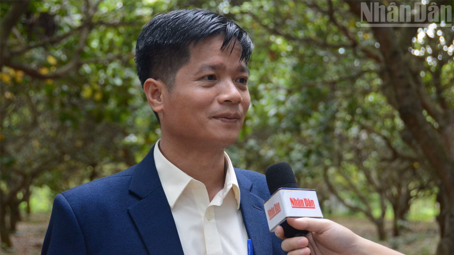 ndo_tr_thuong-vu-viet-nam.png