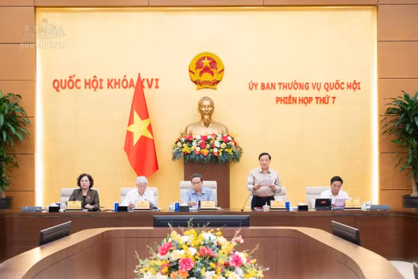 Phiên họp thứ 7 Ủy ban Thường vụ Quốc hội cho ý kiến về Báo cáo của Chính phủ về tình hình triển khai thực hiện Nghị quyết số 206/2025/QH15 về cơ chế đặc biệt xử lý khó khăn, vướng mắc do quy định của pháp luật.