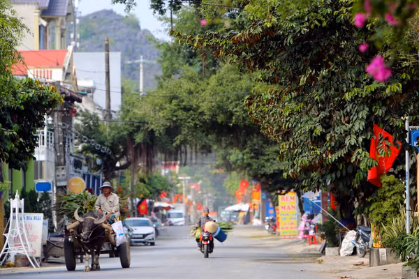 Ảnh minh họa.