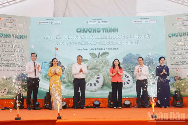 Các đại biểu thực hiện nghi thức khai mạc Chương trình.