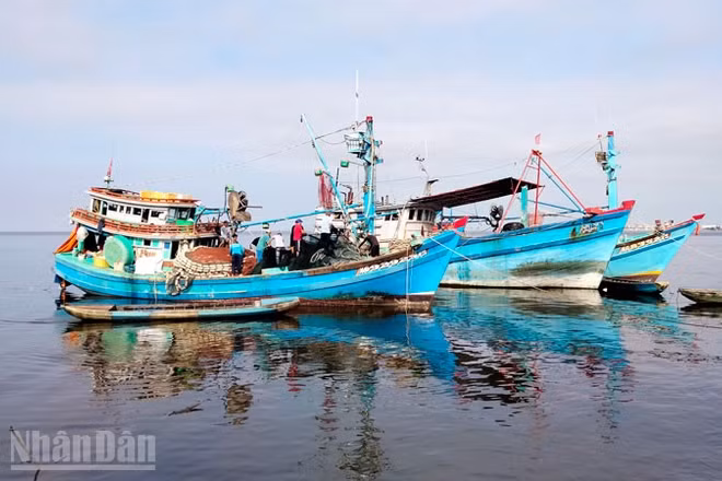 Tàu đánh bắt thủy sản ở An Giang.