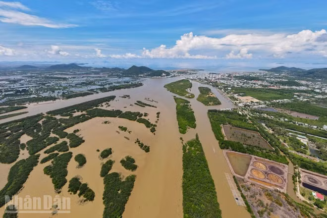 Khu vực đầm Đông Hồ, bị lấn chiếm trái phép mà Báo Nhân Dân nhiều lần phản ánh.