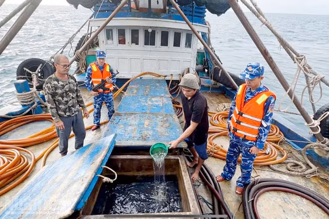 Bộ Tư lệnh Vùng Cảnh sát biển 4 bắt giữ tàu cá vận chuyển trái phép khoảng 100 nghìn lít dầu D.O trên biển ngày 16/1.
