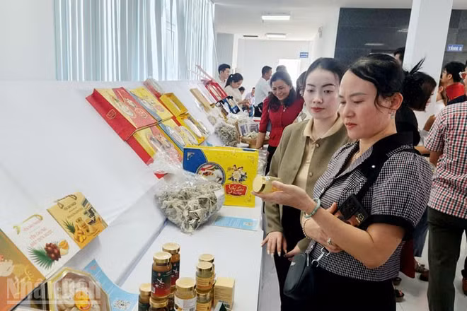 Đại biểu tham quan các sản phẩm yến sào.